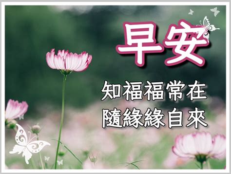 考試順利長輩圖|長輩圖產生器